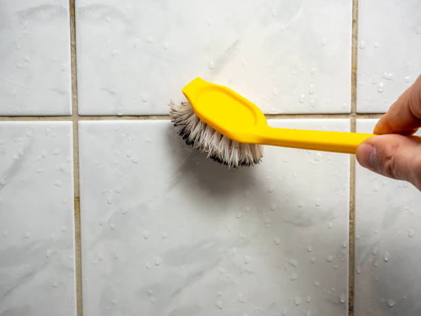 Best Kitchen Mold Remediation in Dallas Center, IA